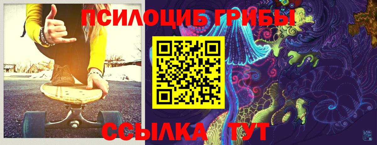 Сатка  Псилоцибиновые грибы Psilocybe  Псилоцибиновые грибы ЛСД  Вход с VPN 